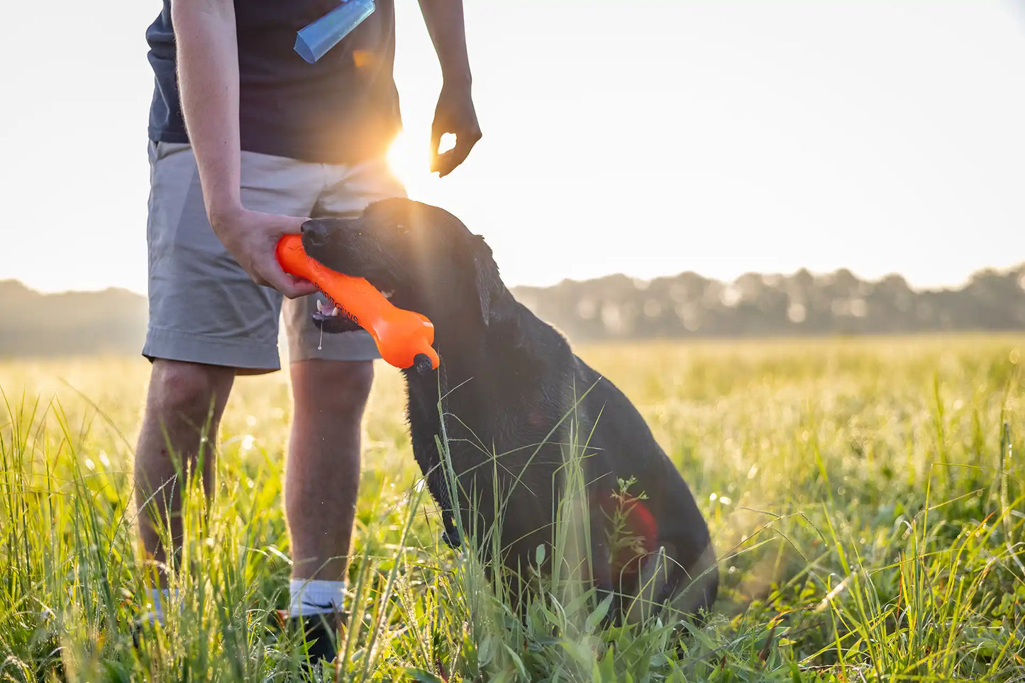 Orange Dog Training Bumper
