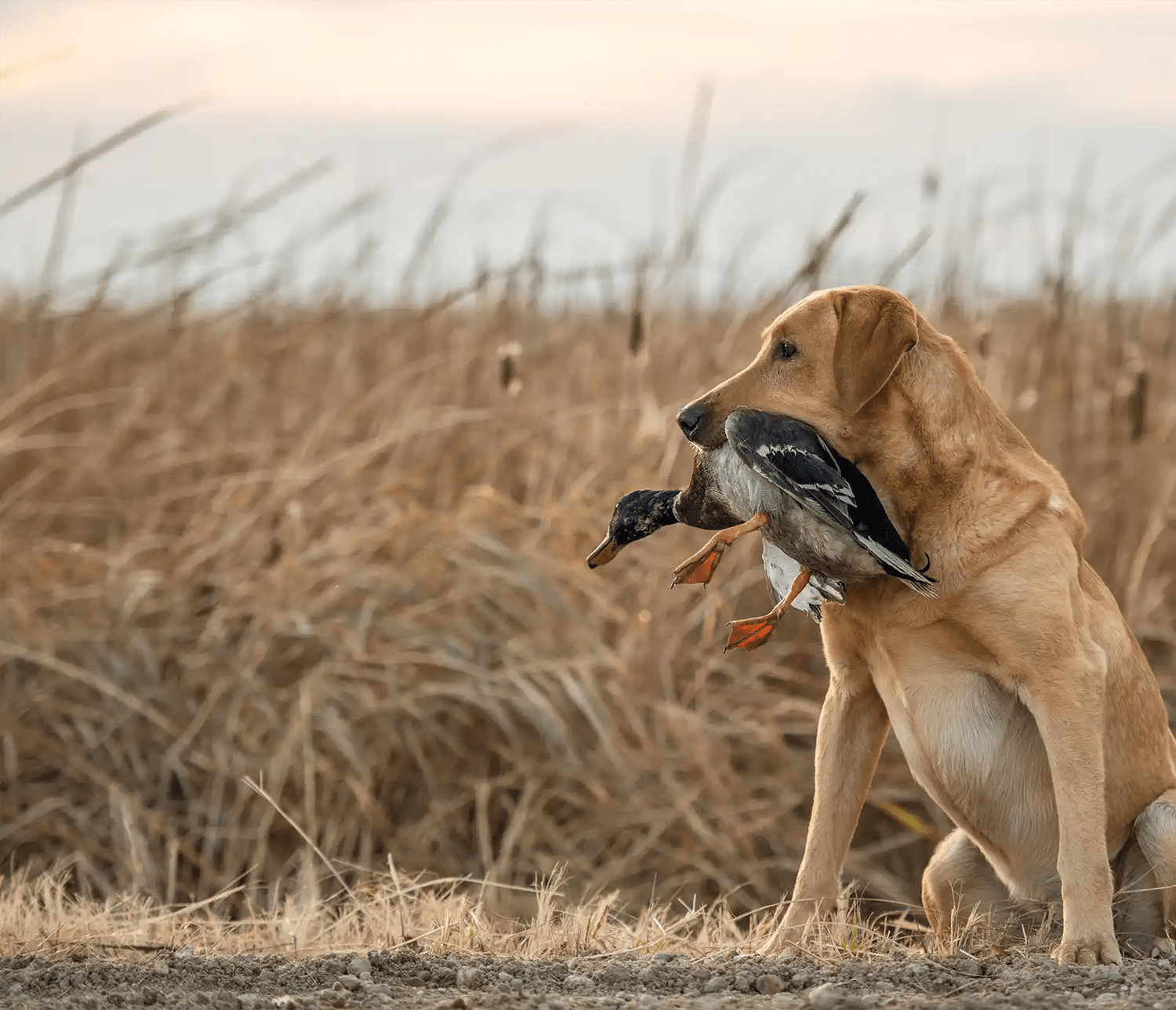 Lanyards - Barrows Outdoor