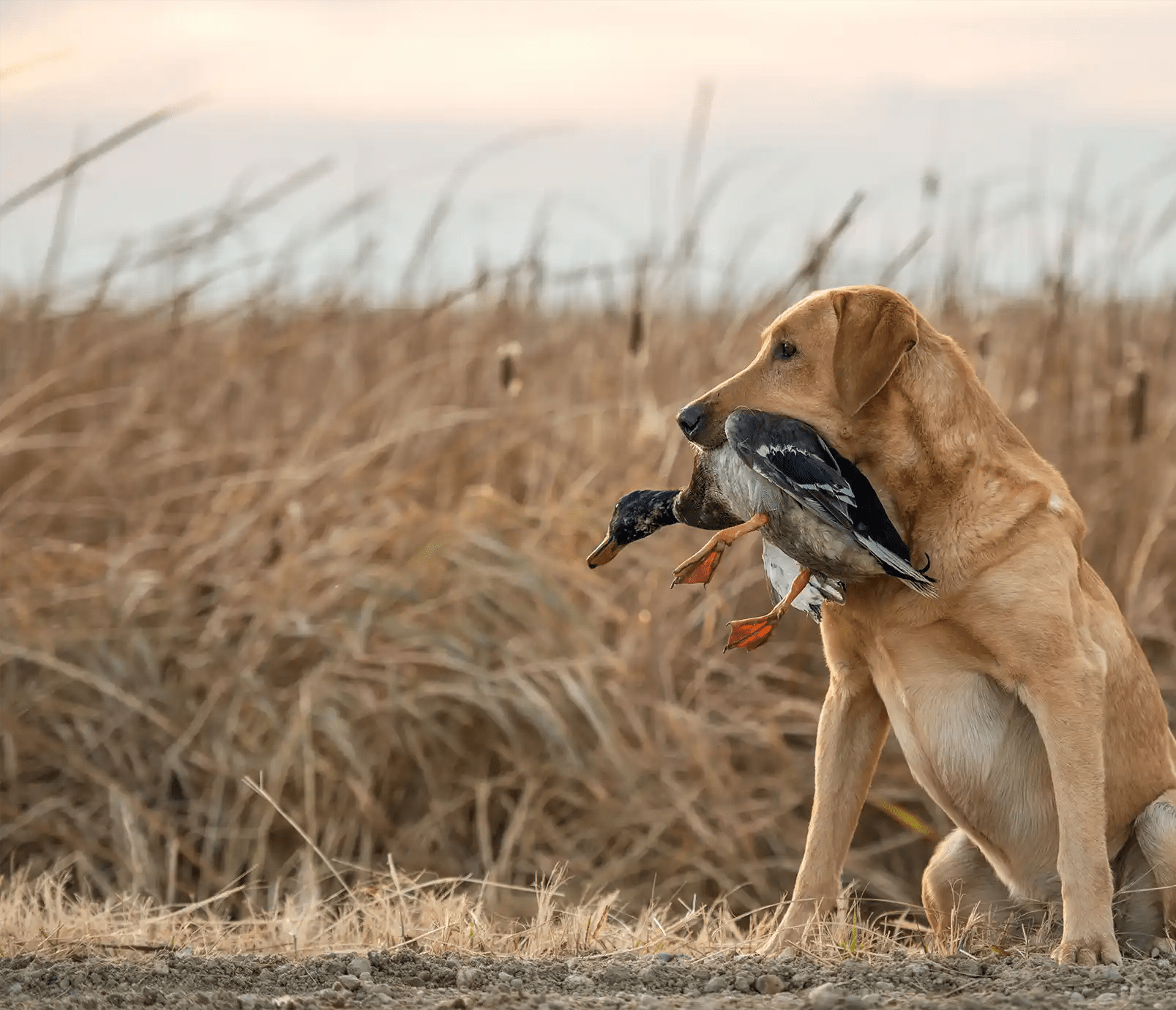 Lanyards - Barrows Outdoor