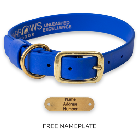 Blue Barrows Biothane Traditional Collar