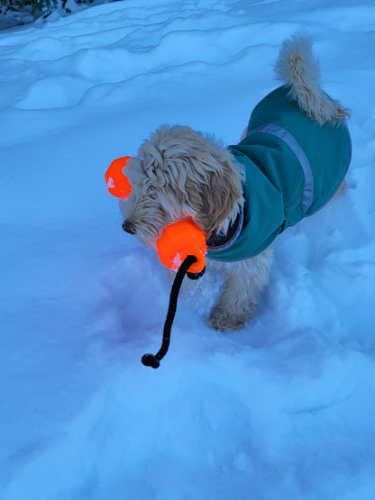 Orange Dog Training Bumper
