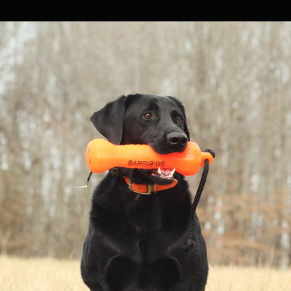 Orange Dog Training Bumper