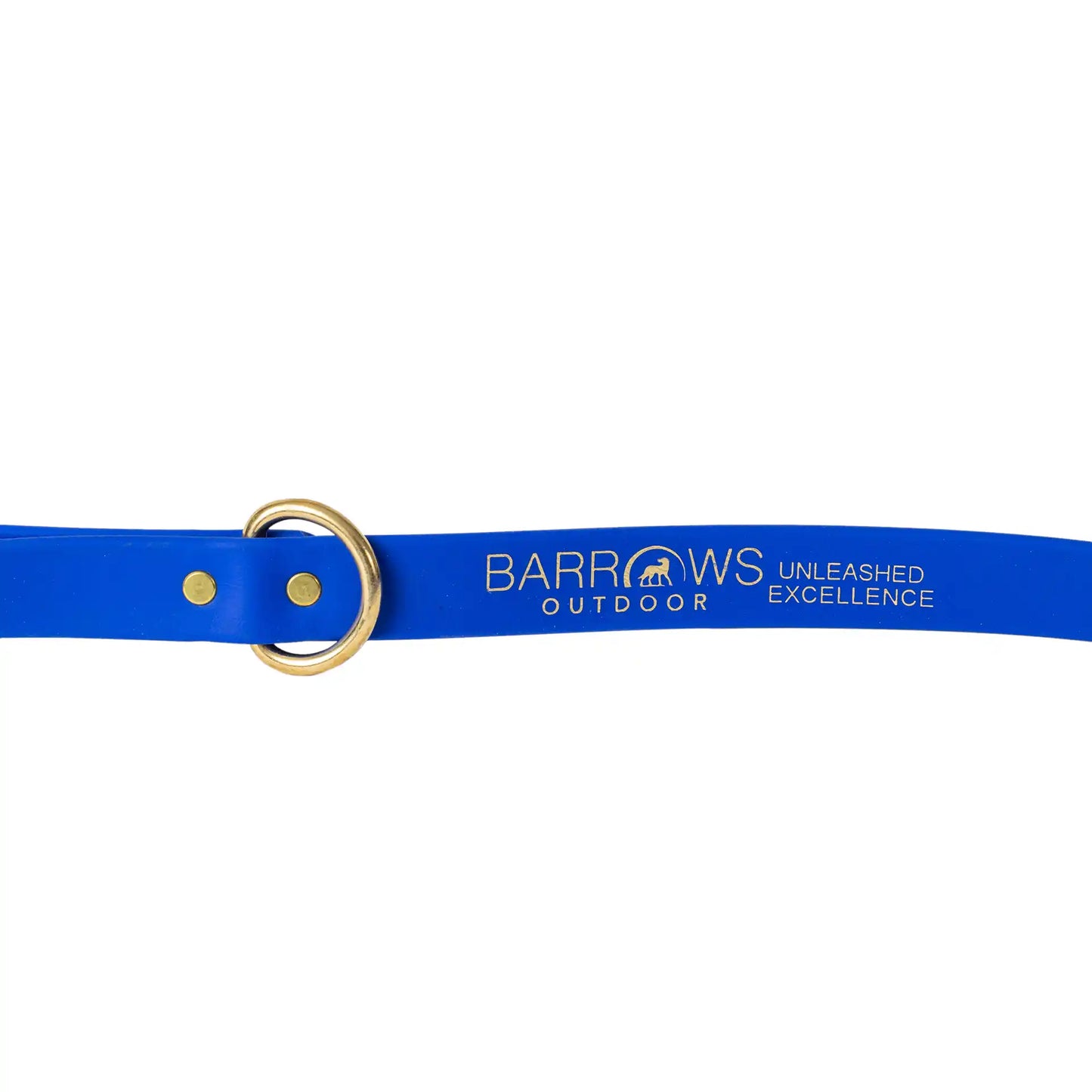 Blue Barrows Biothane Leash