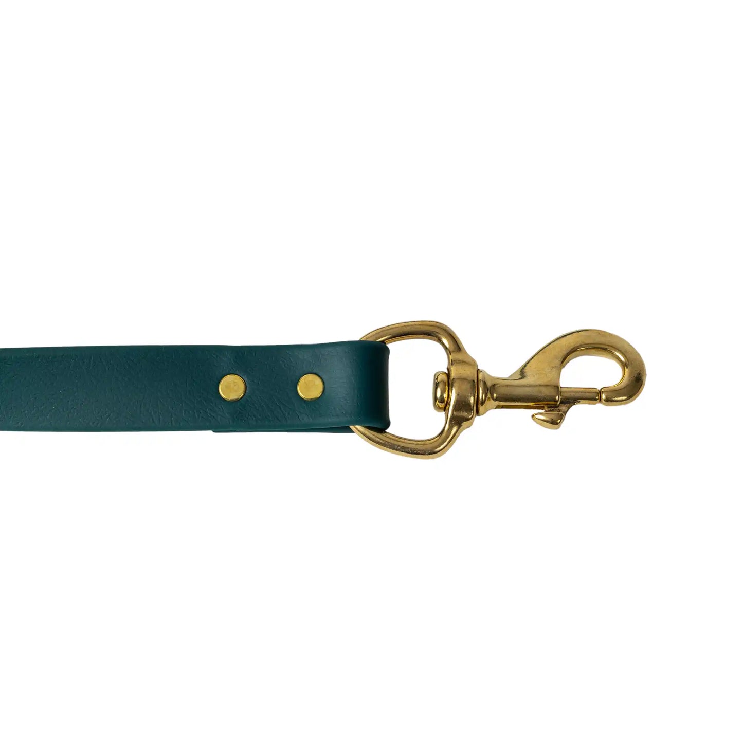 Green Barrows Biothane Leash