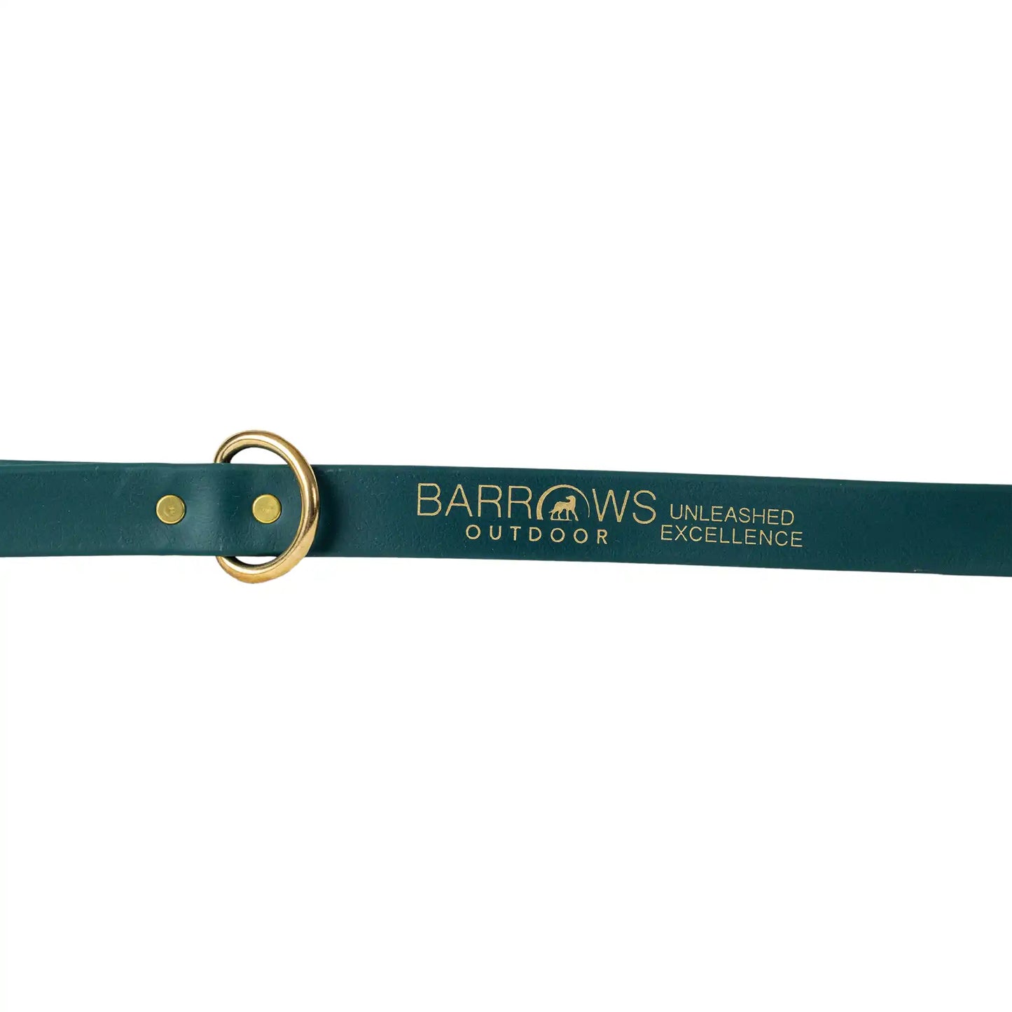 Green Barrows Biothane Leash