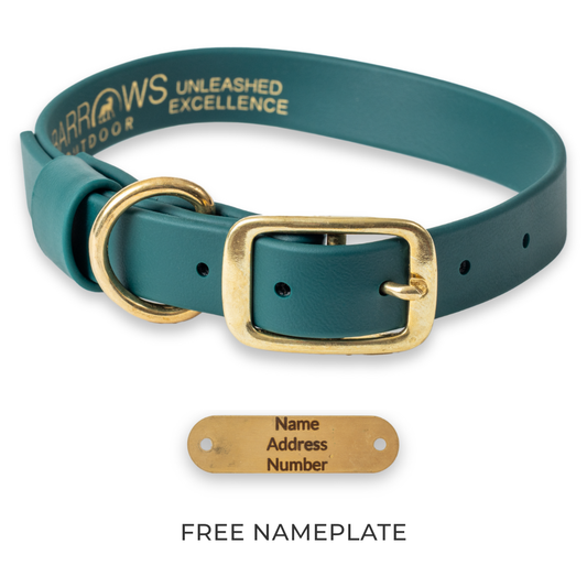 Green Barrows Biothane Traditional Collar