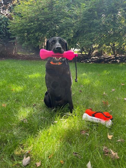 Pink Dog Training Bumper