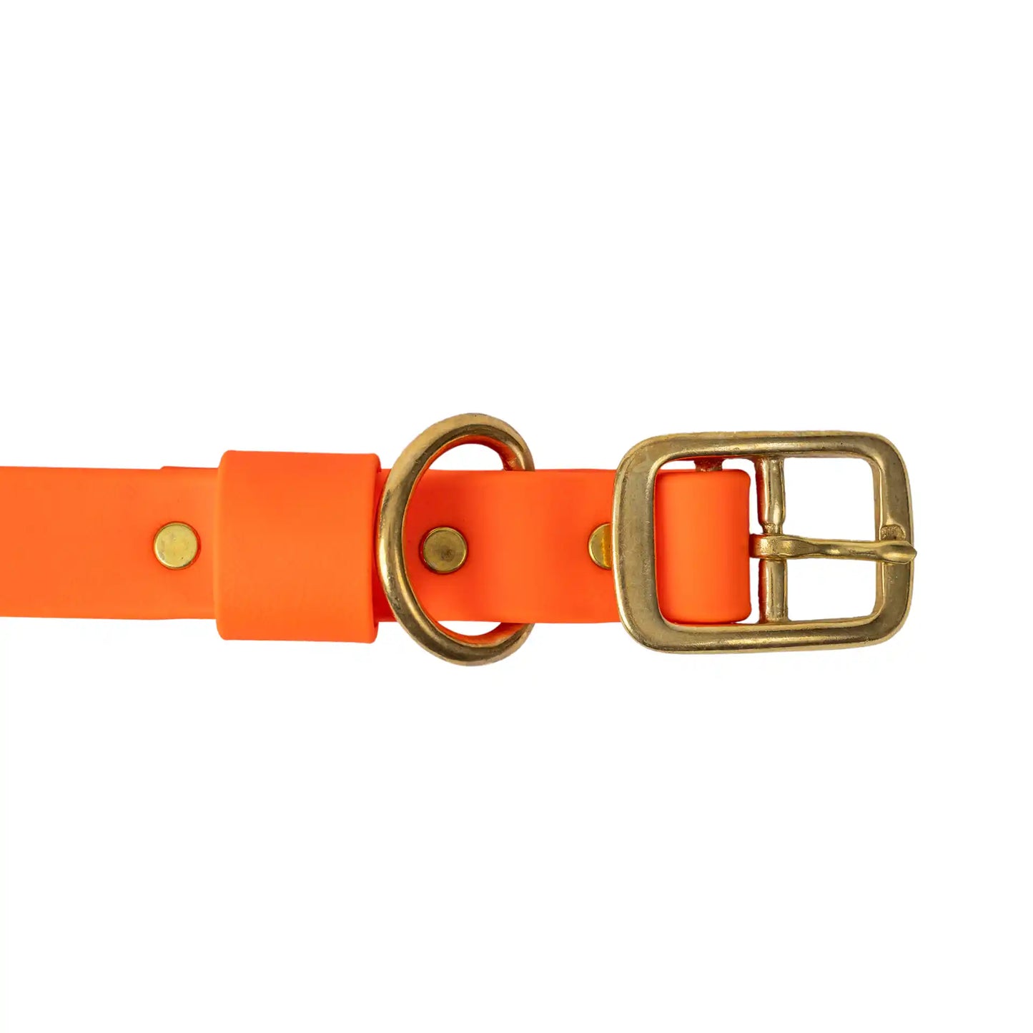 Orange Barrows Biothane Traditional Collar