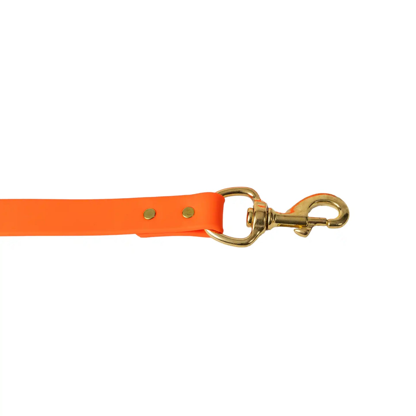 Orange Barrows Biothane Leash
