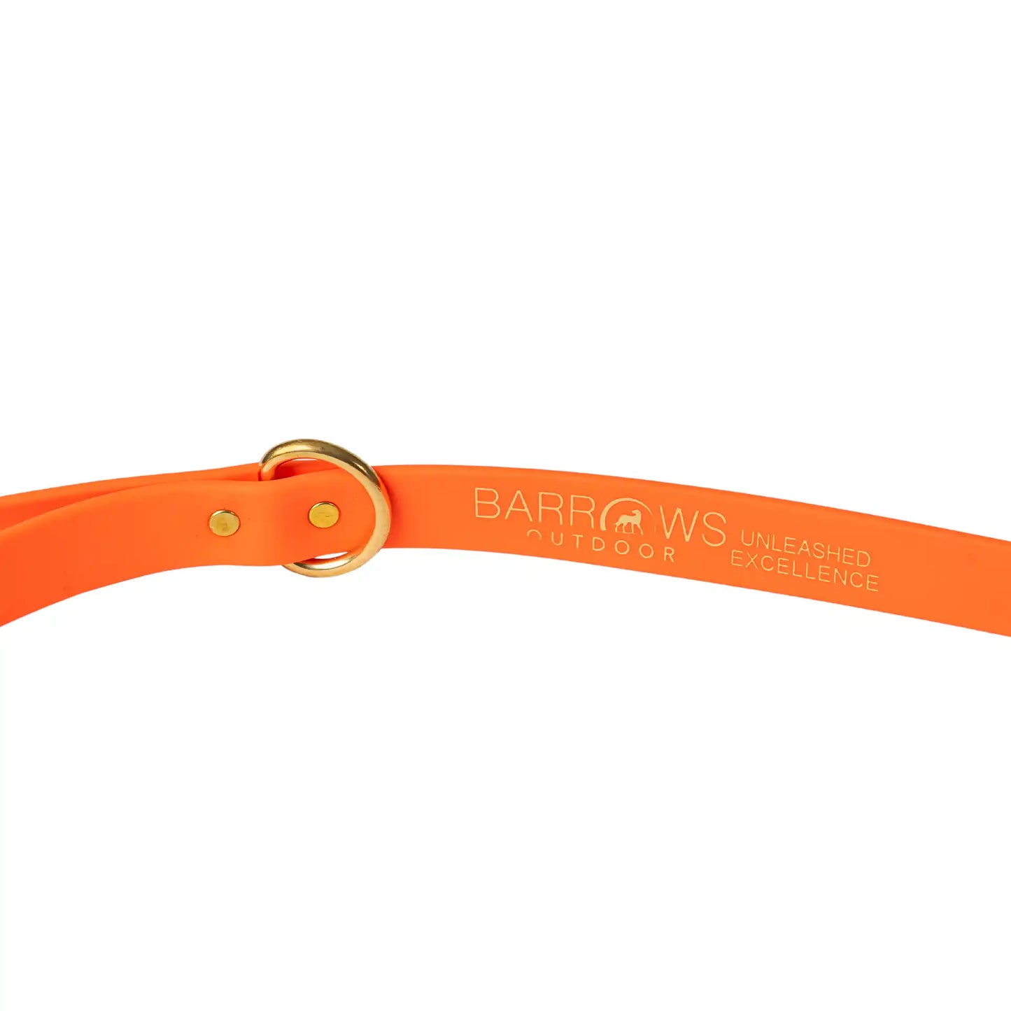Orange Barrows Biothane Leash