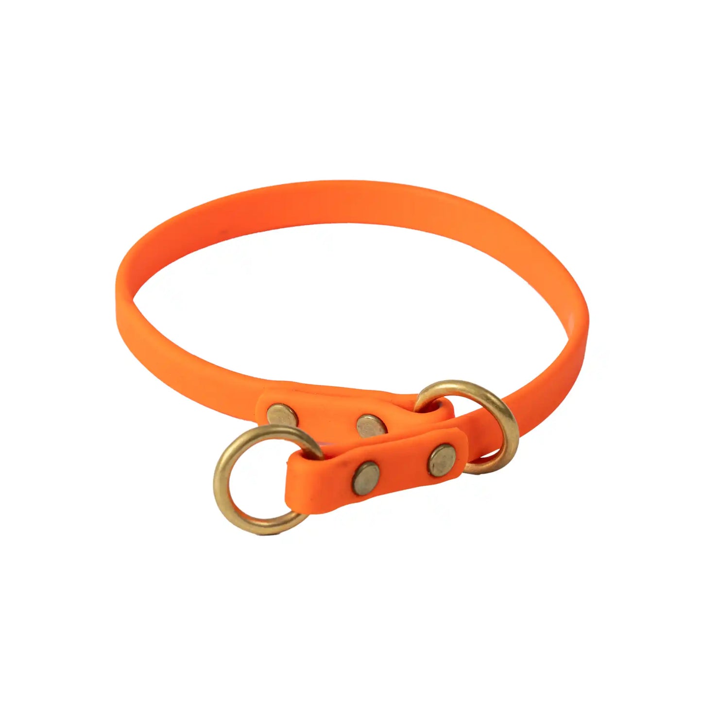 Orange Barrows Biothane Slip Collar