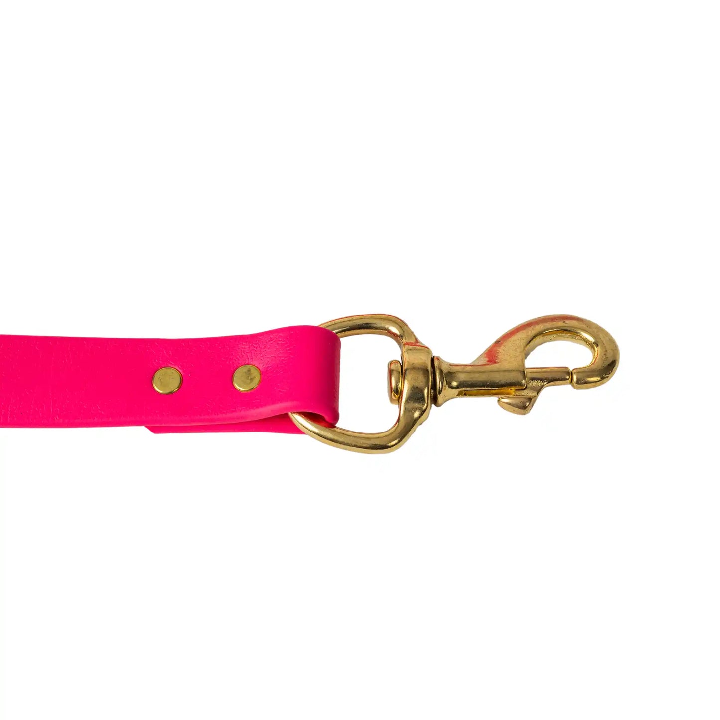 Pink Barrows Biothane Leash