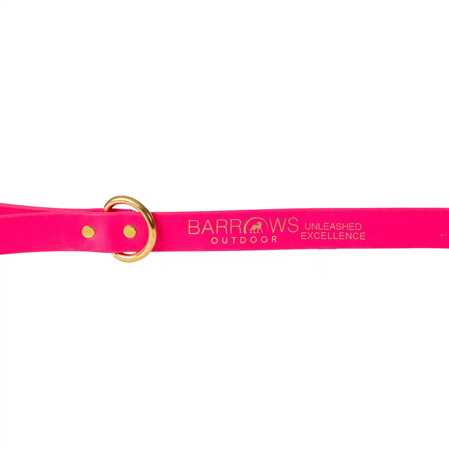 Pink Barrows Biothane Leash