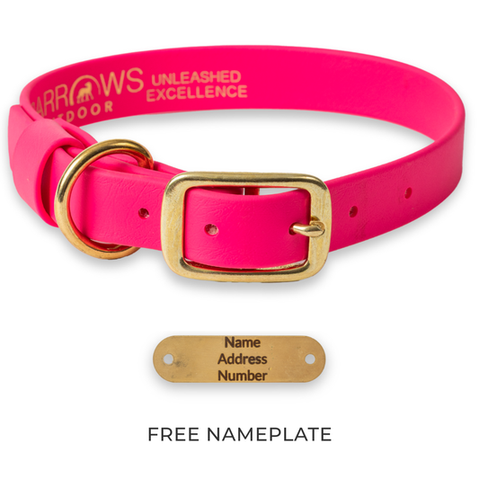 Pink Barrows Biothane Traditional Collar