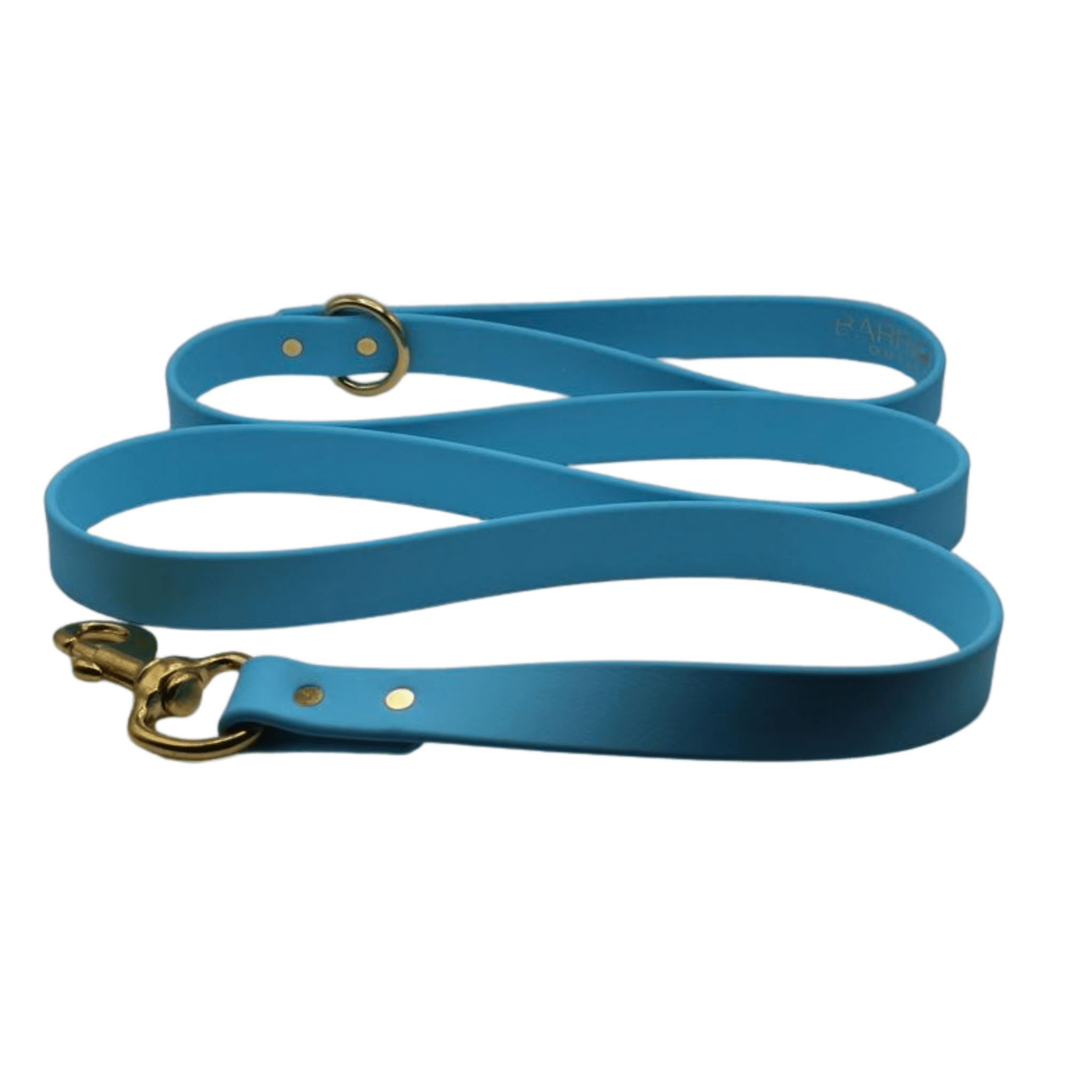Barrows Dog Leash - Teal - Barrows Outdoor