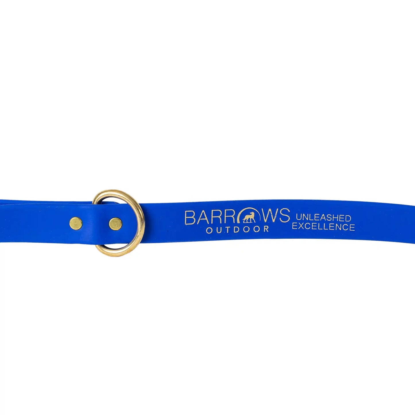 Blue Barrows Biothane Leash - Barrows Outdoor