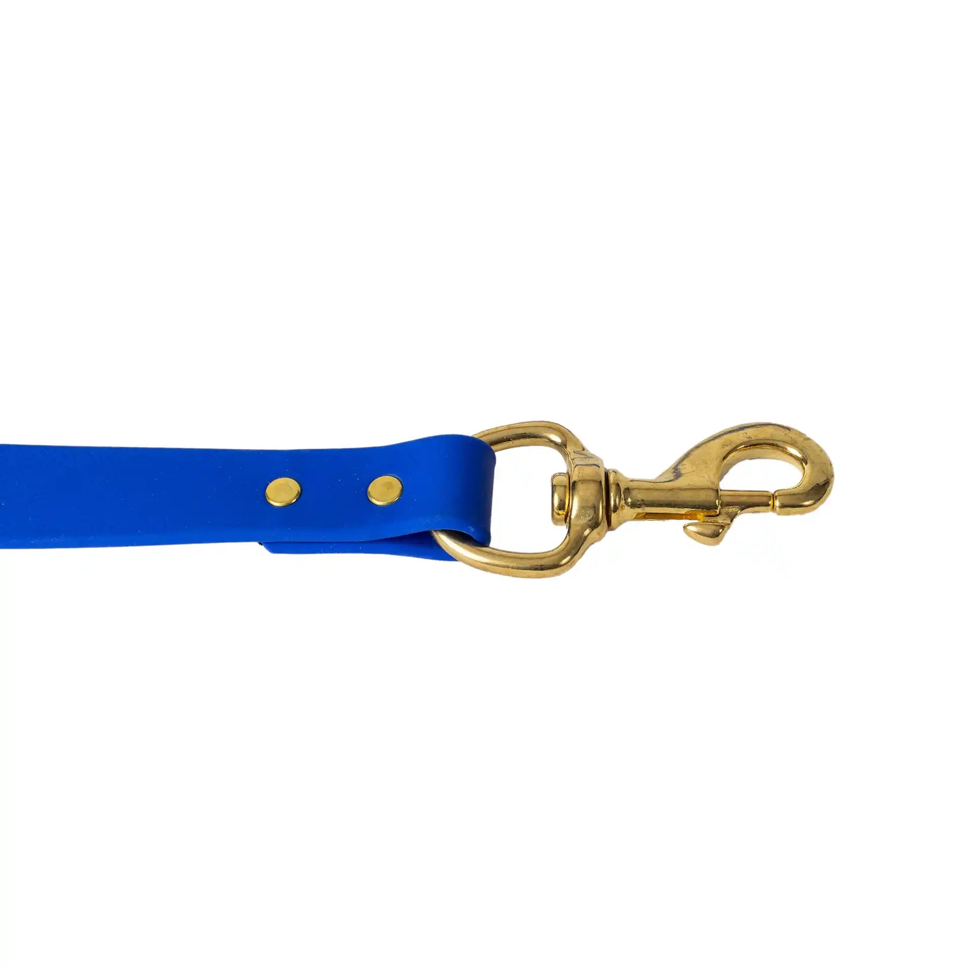 Blue Barrows Biothane Leash - Barrows Outdoor