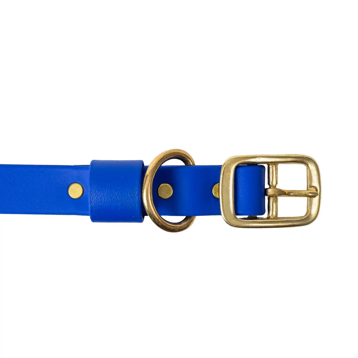 Blue Barrows Biothane Traditional Collar - Barrows Outdoor
