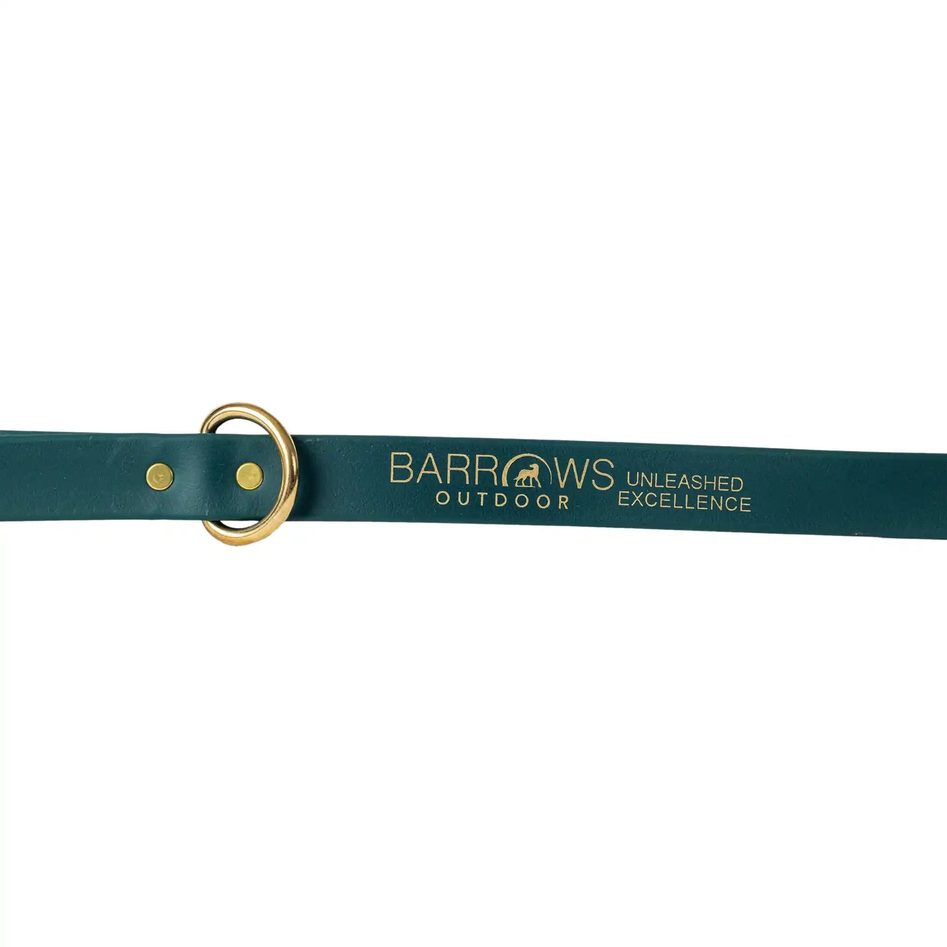 Green Barrows Biothane Leash - Barrows Outdoor
