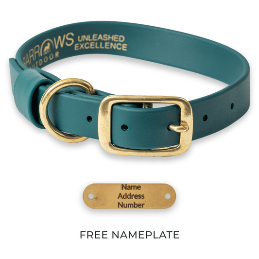 Green Barrows Outdoor Hunting Dog Collars - Barrows Outdoor