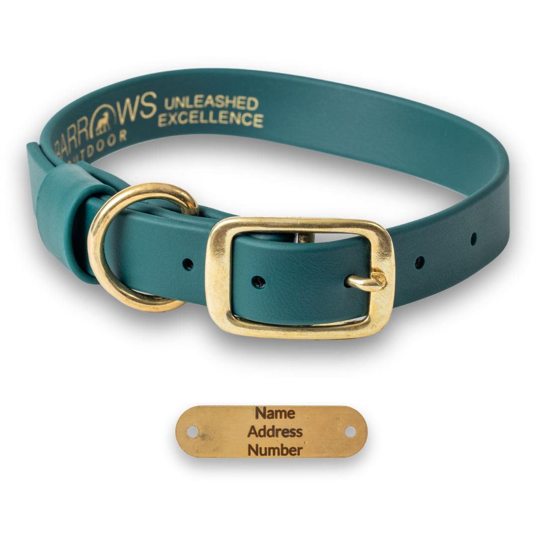 Green Barrows Biothane Traditional Collar