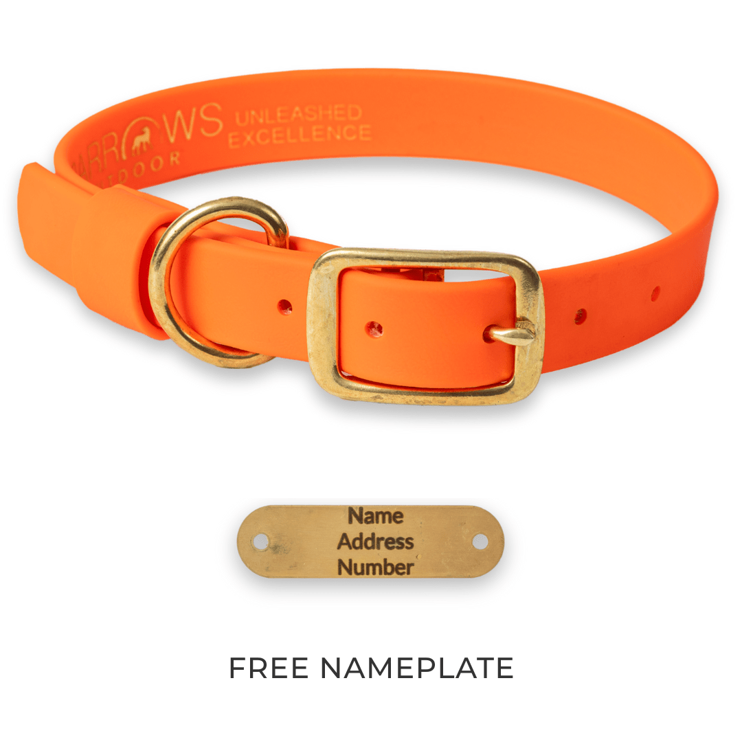 Orange Barrows Biothane Traditional Collar - Barrows Outdoor