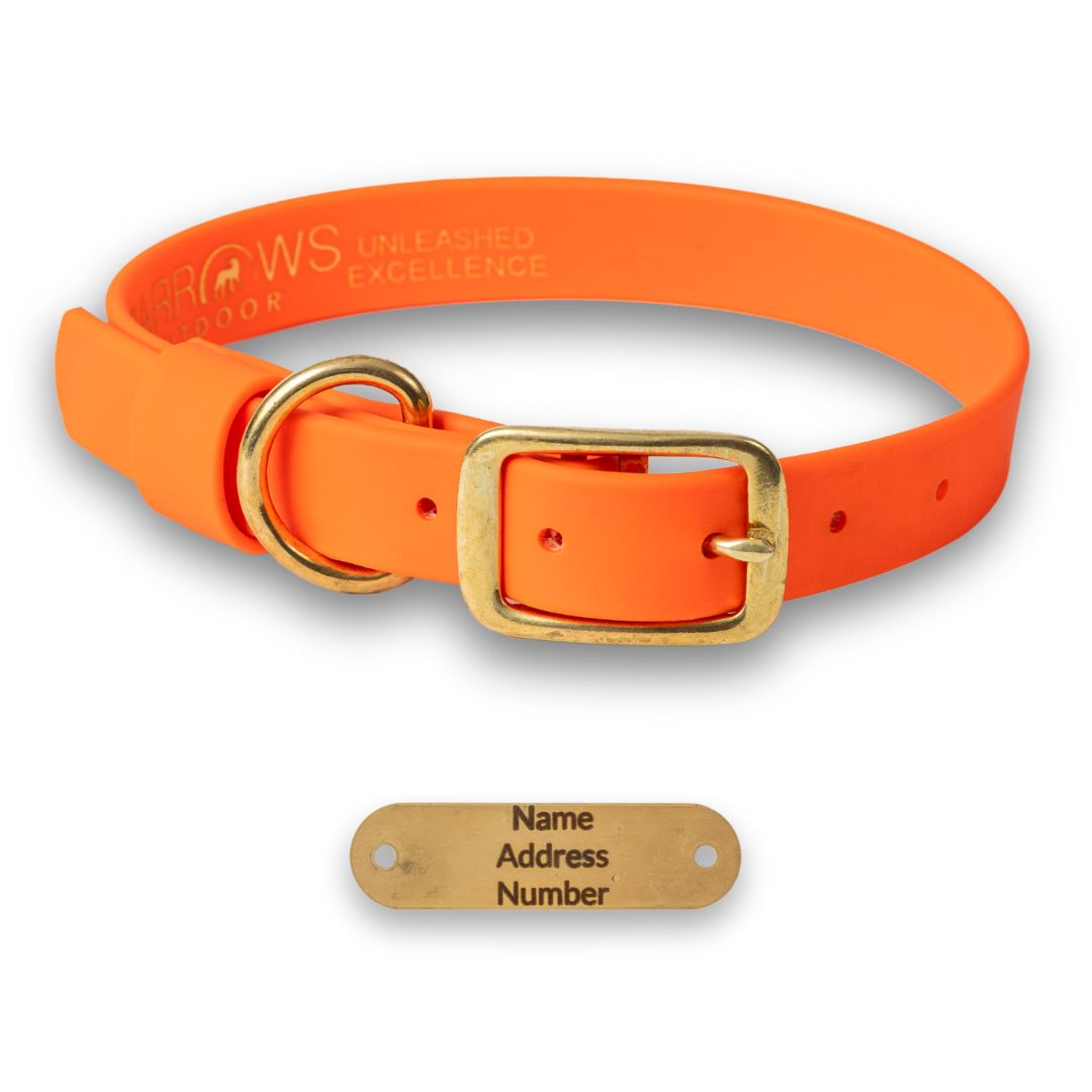 Orange Barrows Biothane Traditional Collar