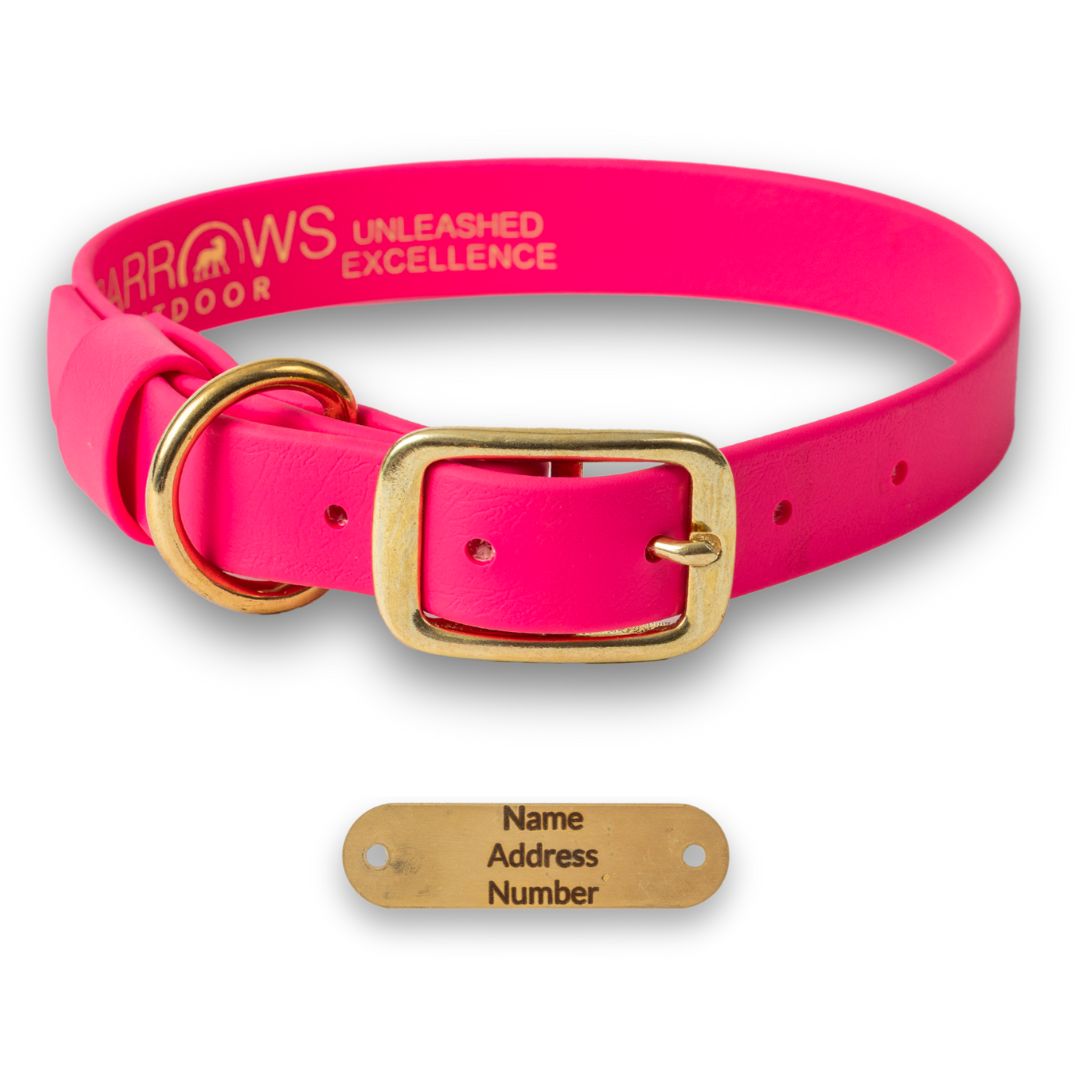Pink Barrows Biothane Traditional Collar